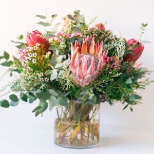 Protea Love