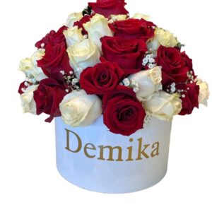 Demika