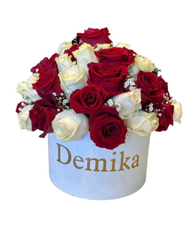 Demika
