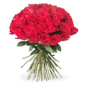 Ever Red - 50 Long Stems