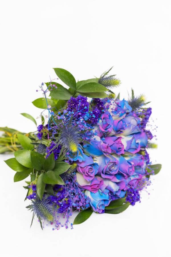 Unicorn Roses