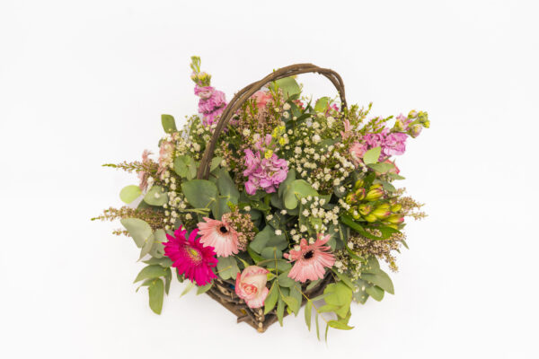 Garden Whimsy
