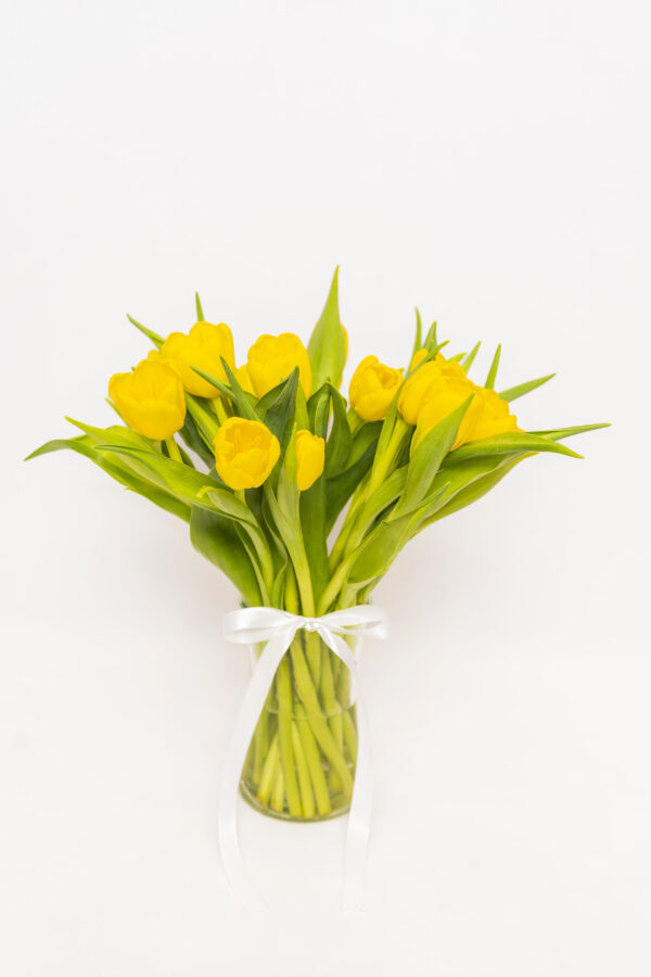 Tulip Serenade