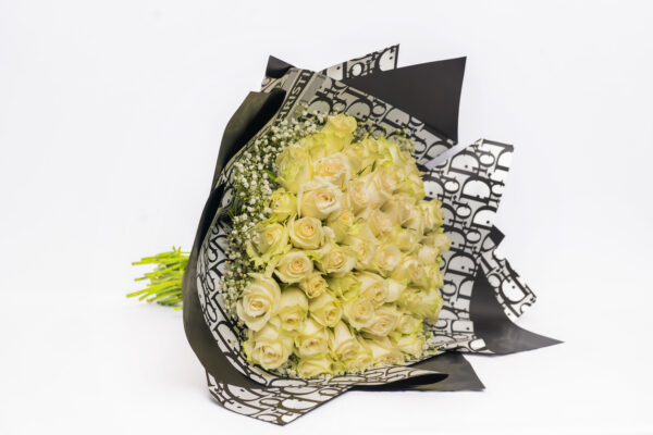 Ivory Elegance